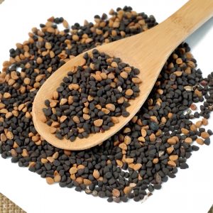 黑白丑 / 二丑 / 牵牛子 / Er Chou / Hei Bai Chou/Qianniu Zi/Pharbitis nil (Linn.) Choisy