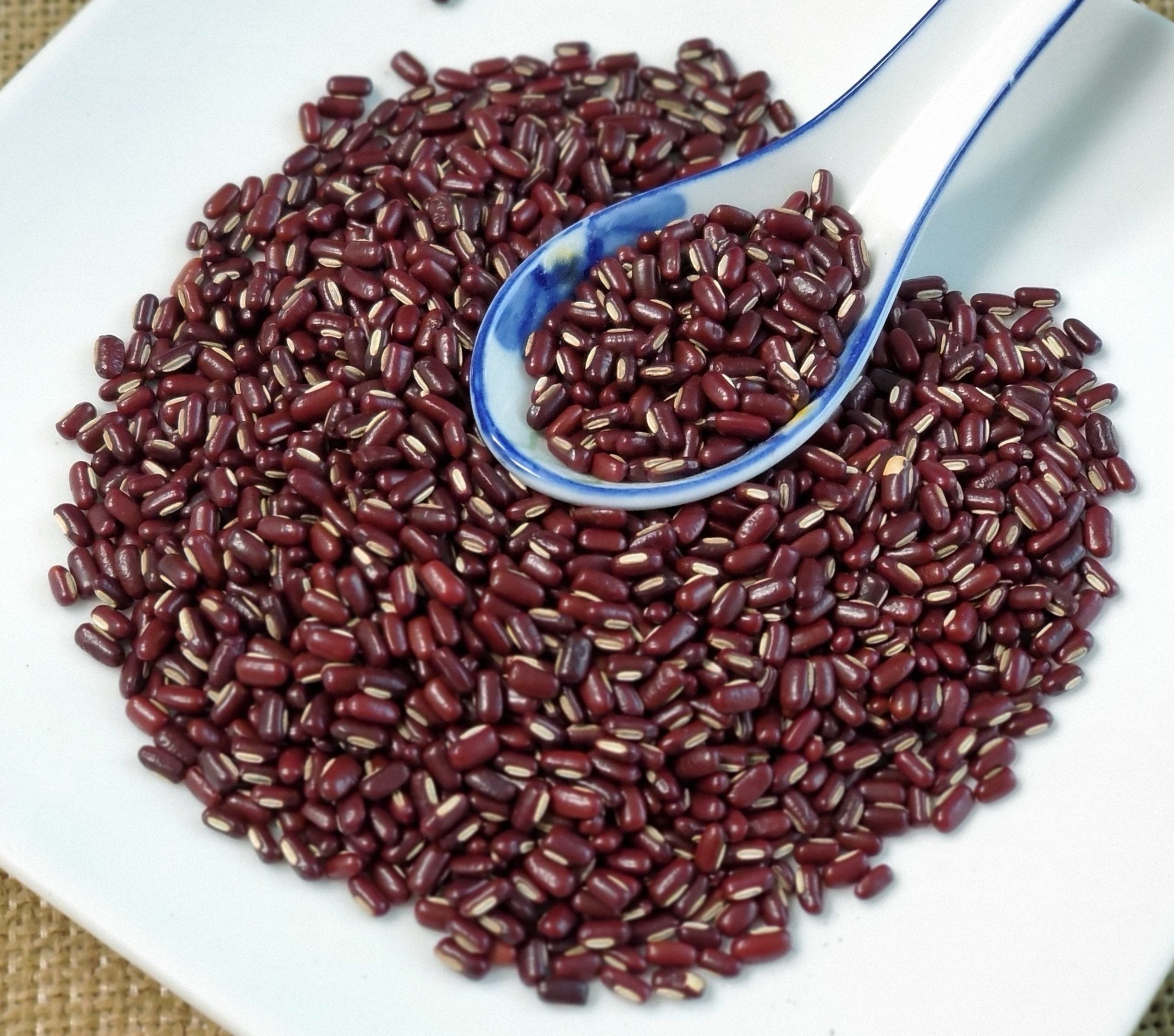赤小豆 Chi Xiao Dou / Semen Phaseoli / Adzuki Bean - Image 3