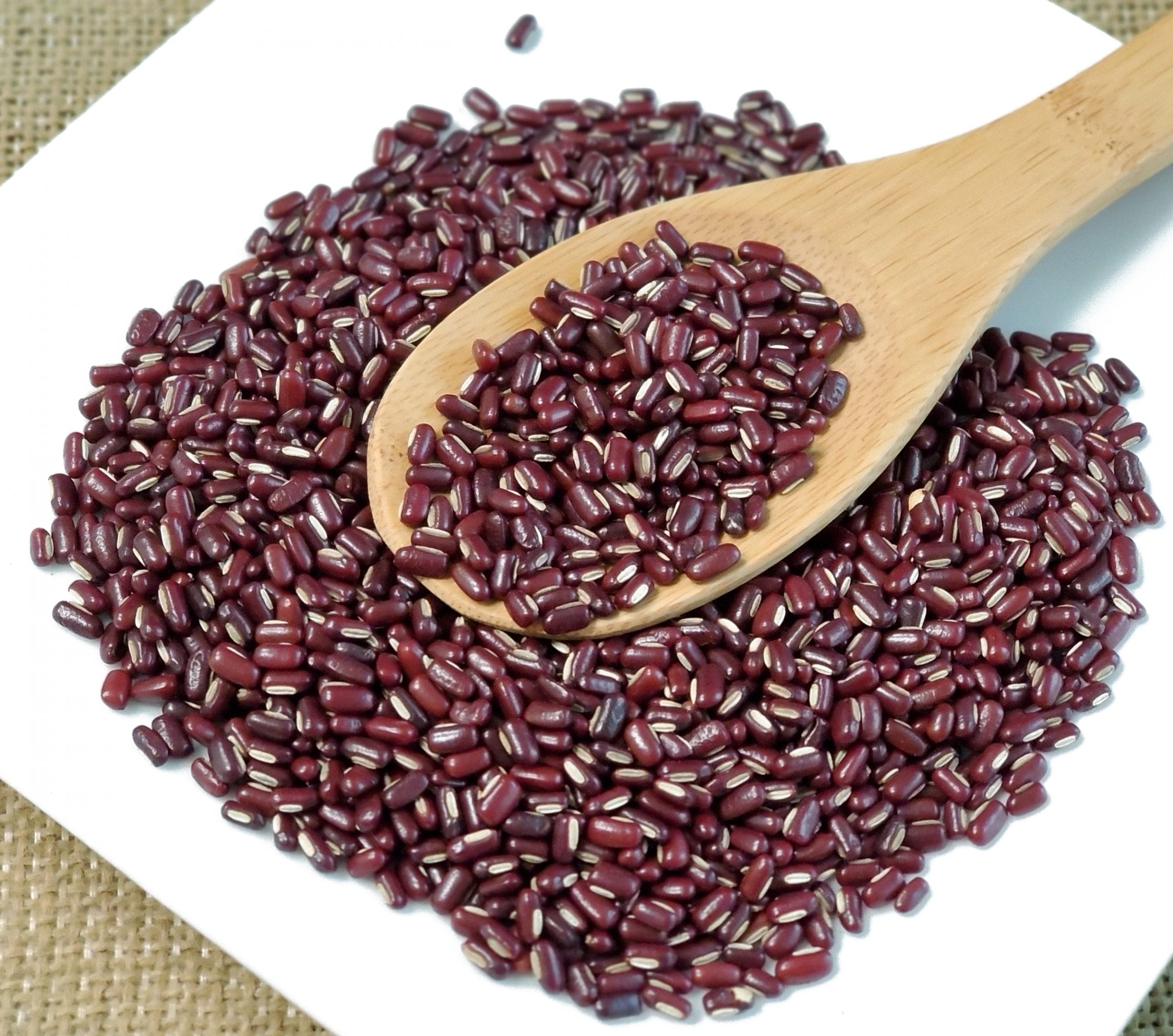 赤小豆 Chi Xiao Dou / Semen Phaseoli / Adzuki Bean - Image 2