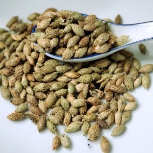 苍耳子 Cang Er Zi / Fructus Xanthii / Xanthium Fruit / Cockleburr Fruit