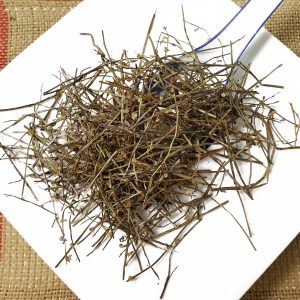 半枝莲 Ban Zhi Lian / Scutellariae Barbatae Herba