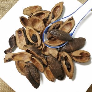 大腹皮 Da Fu Pi / Pericarpium Arecae