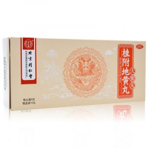 同仁堂 桂附地黄丸 大蜜丸 TongRenTong Guifu dihuang Wan - 9g x 10 Giant Pills