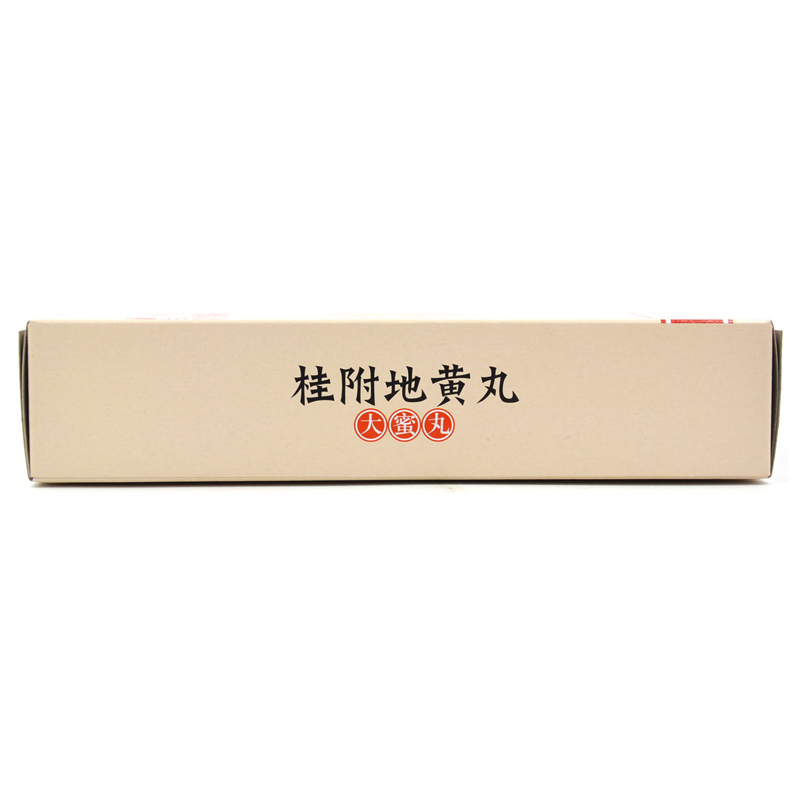 同仁堂 桂附地黄丸 大蜜丸 TongRenTong Guifu dihuang Wan - 9g x 10 Giant Pills - Image 3