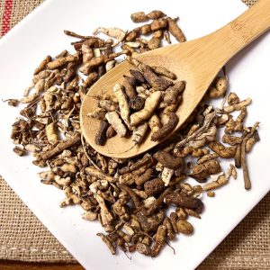 炙 甘遂 Gan Sui / Prepared Gan Sui / euphorbia kansui