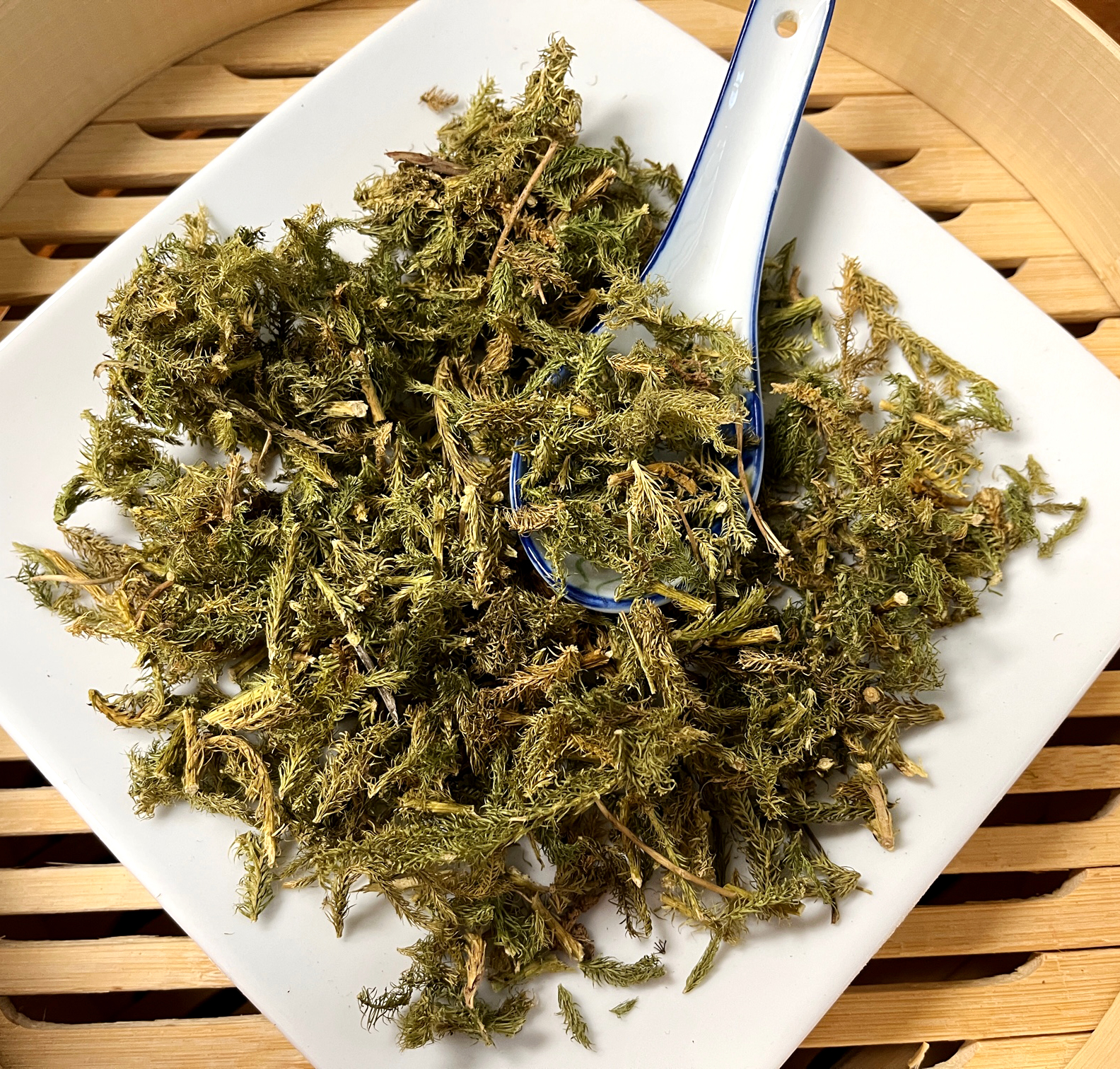 伸筋草 / Shen Jin Cao / Herba Lycopodii /Ground Pine / Common Clubmoss - Image 2