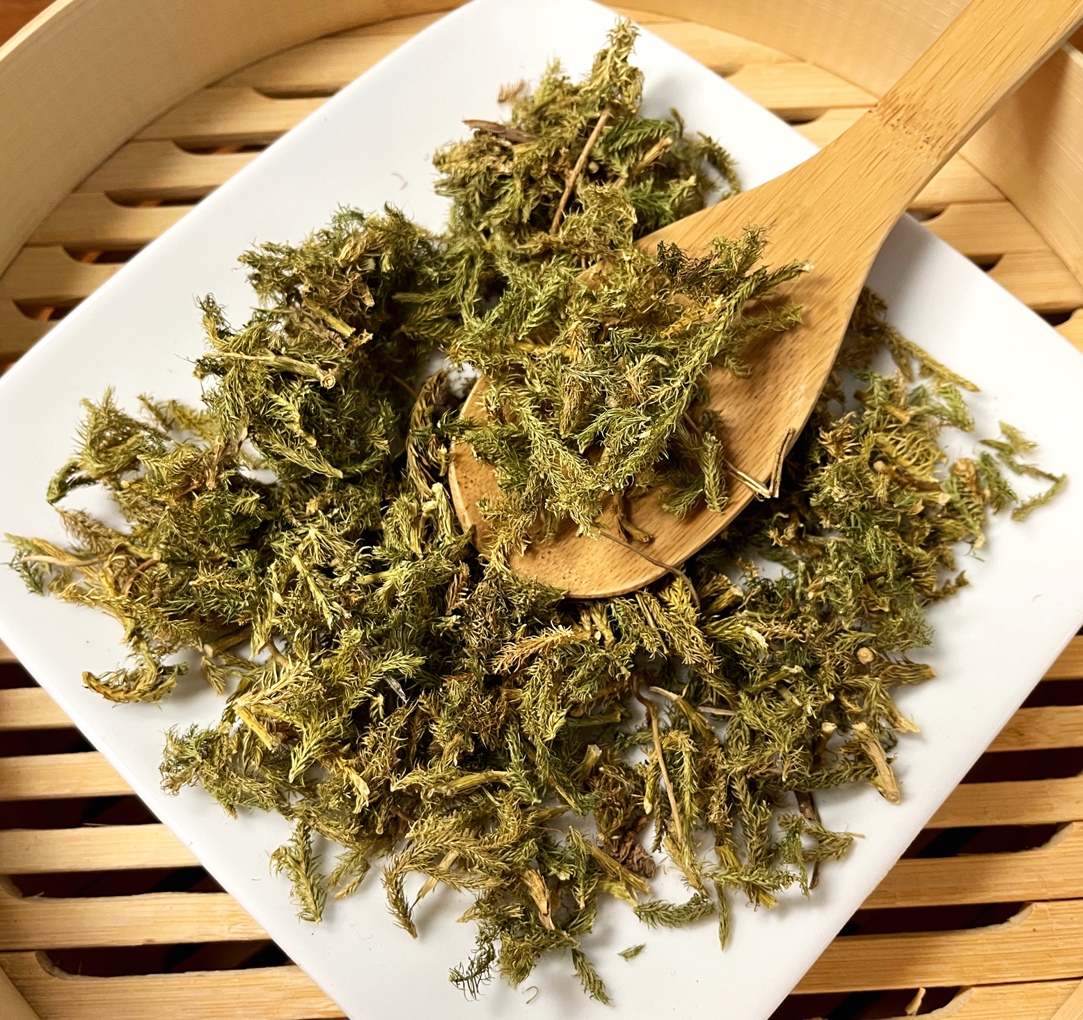 伸筋草 / Shen Jin Cao / Herba Lycopodii /Ground Pine / Common Clubmoss