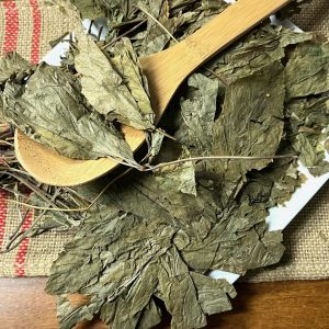 人参叶 / Ren Shen Ye / Panax Ginseng leaves