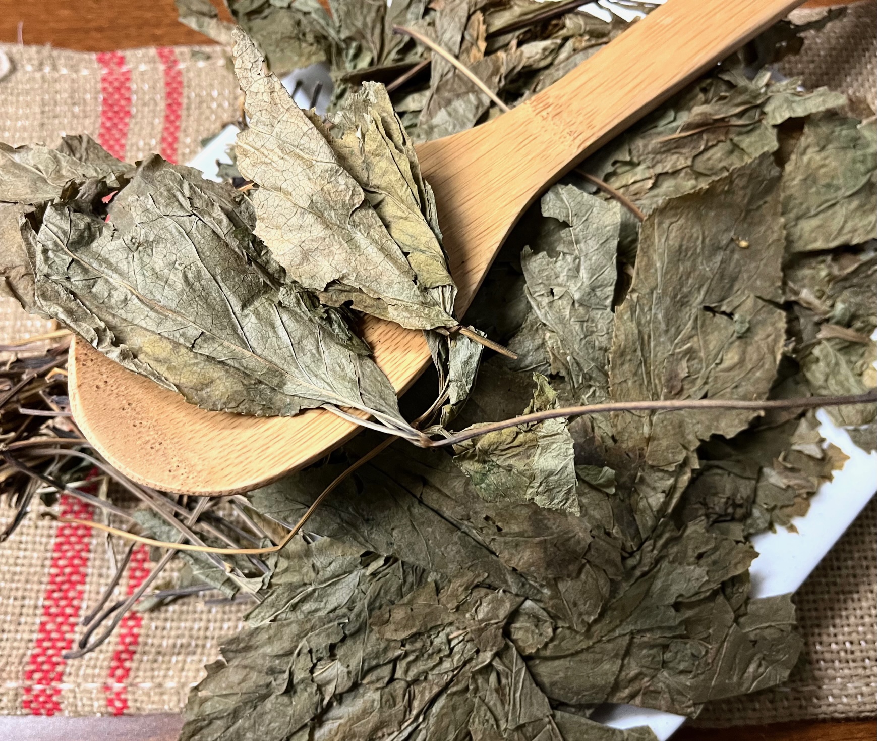 人参叶 / Ren Shen Ye / Panax Ginseng leaves - Image 3