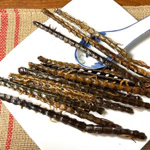 Wu Gong 蜈蚣, Dried Centipedes, Scolopendra Subspinipes