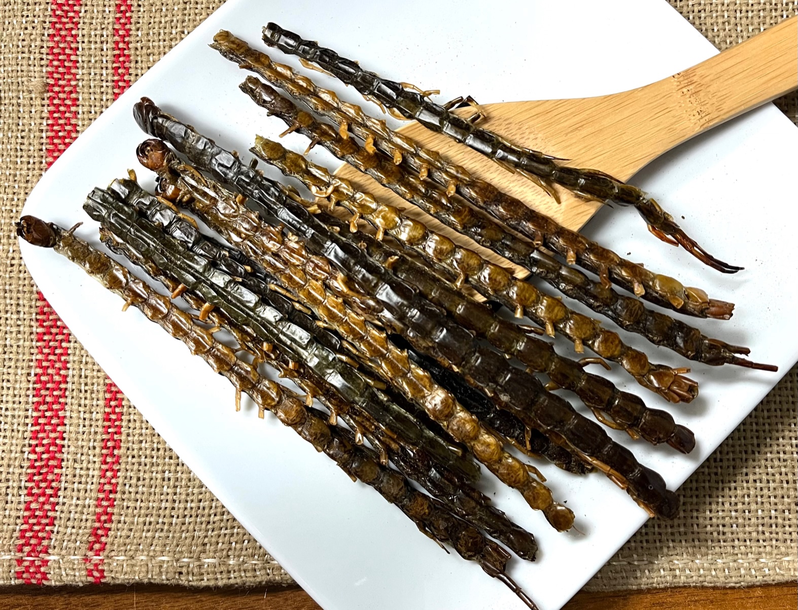 Wu Gong 蜈蚣, Dried Centipedes, Scolopendra Subspinipes - Image 2