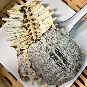 鳖甲 Bie Jia /  Carapax Trionycis shell