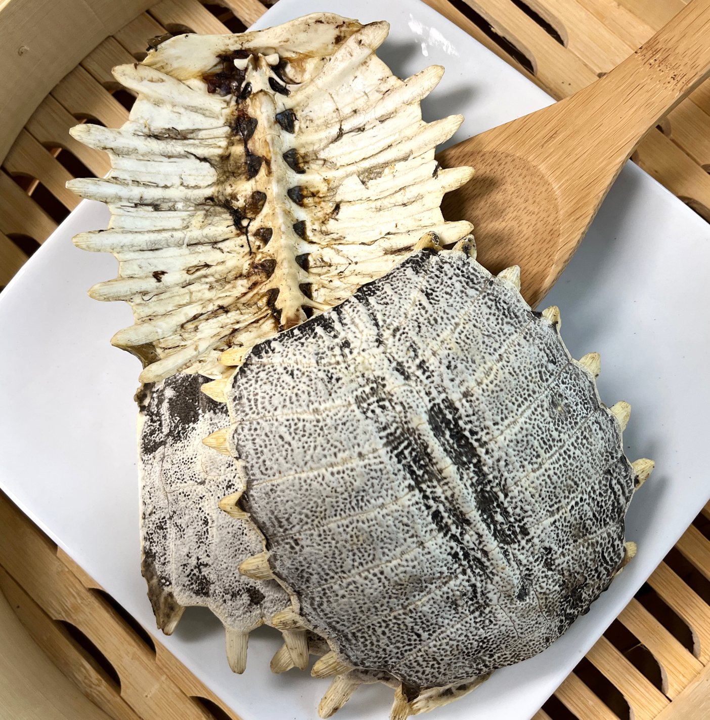 鳖甲 Bie Jia /  Carapax Trionycis shell - Image 2