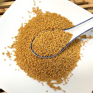 白芥子 Bai Jie Zi /  Dried White Mustard Seeds / Sinapis Semen