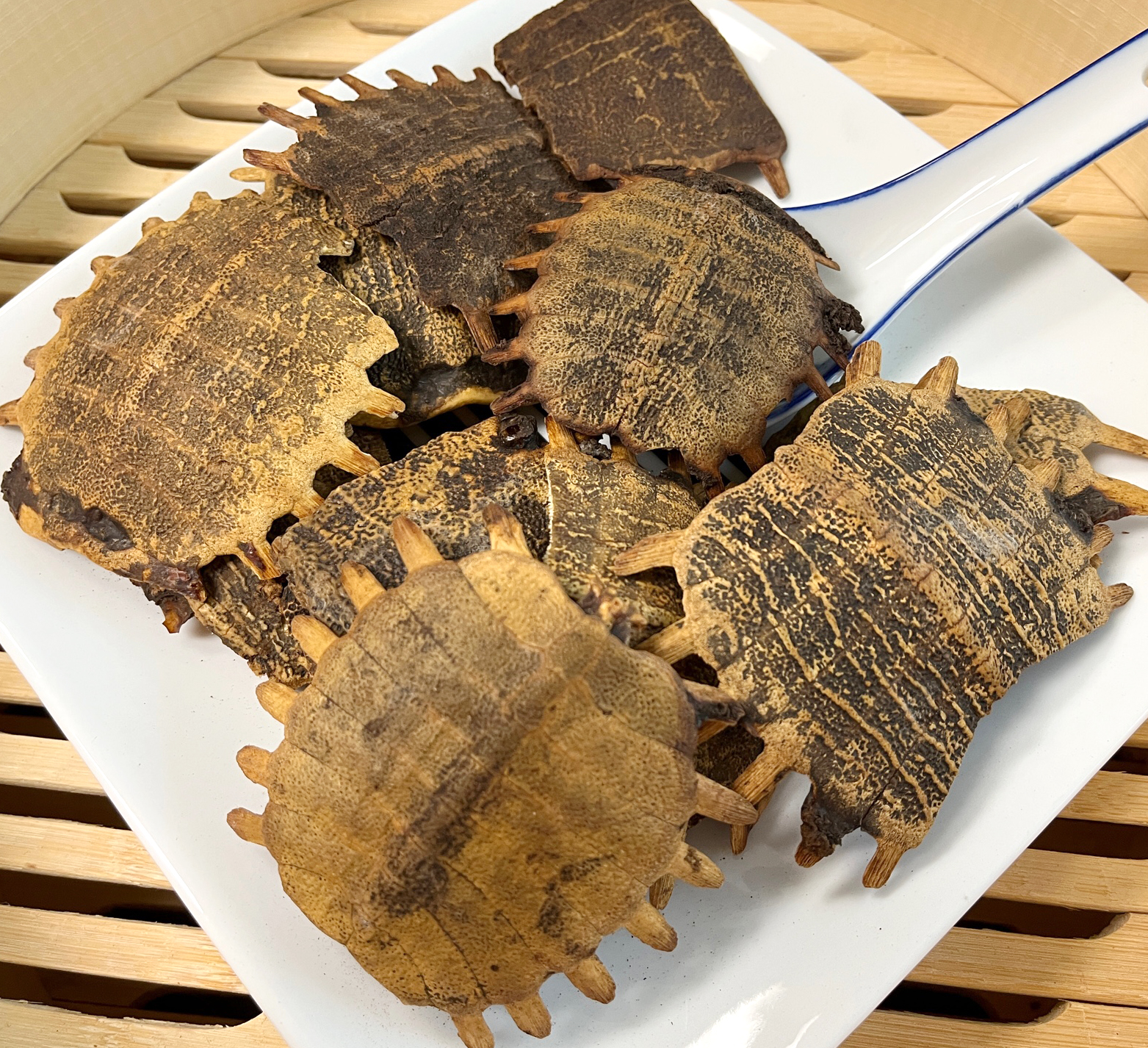 制鳖甲 ZhiBie Jia /  Prepared Carapax Trionycis shell - Image 2