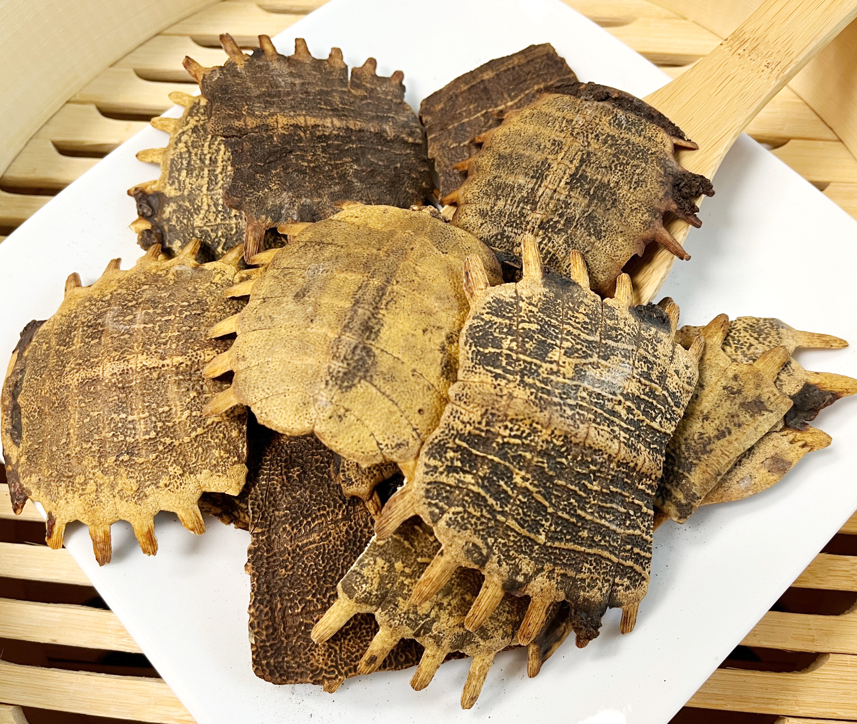 制鳖甲 ZhiBie Jia /  Prepared Carapax Trionycis shell