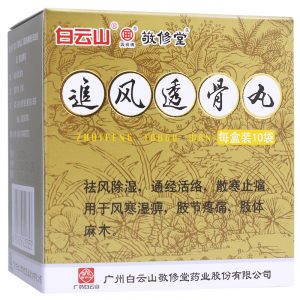 白云山 敬修堂 追风透骨丸 ZhuiFeng Tougu Wan 10 Sachets