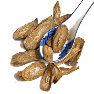 牛蒡根 / Niu Bang Gen / Great Burdock Root / Arctii Radix