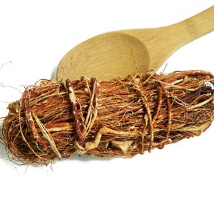 五指毛桃 / Wu Zhi Mao Tao / Ficus hirta Vahl / Hairy Fig / Hairy Mountain Fig