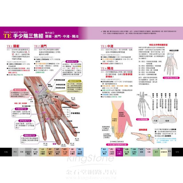 经穴大全 Acupture Book with Photos 彩色 经穴解剖全书 - Image 2