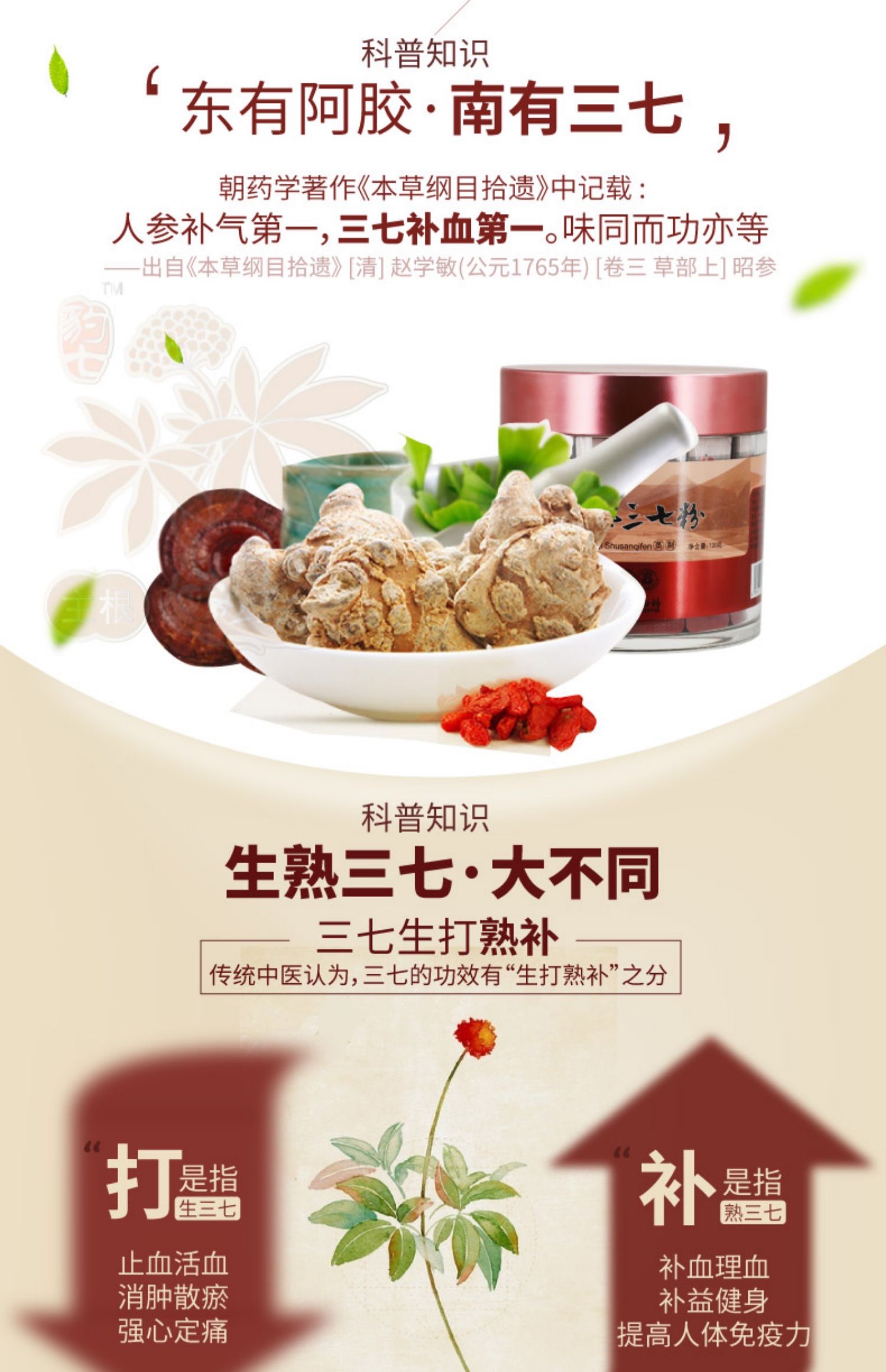 100% Pure Steamed Tienchi Powder Pseudoginseng Notoginseng Sanqi Ginseng Powder (2g x 60 Sachets) 熟三七粉 - Image 10