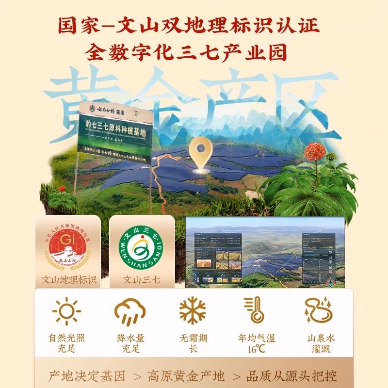 100% Pure Steamed Tienchi Powder Pseudoginseng Notoginseng Sanqi Ginseng Powder (2g x 60 Sachets) 熟三七粉 - Image 8