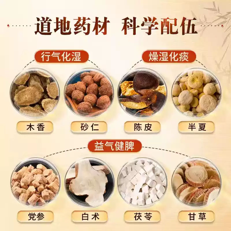仲景 香砂六君丸 Xiang Sha Liu Jun Wan Aplotaxis Amomum (for Stomach) 200 pills - Image 2