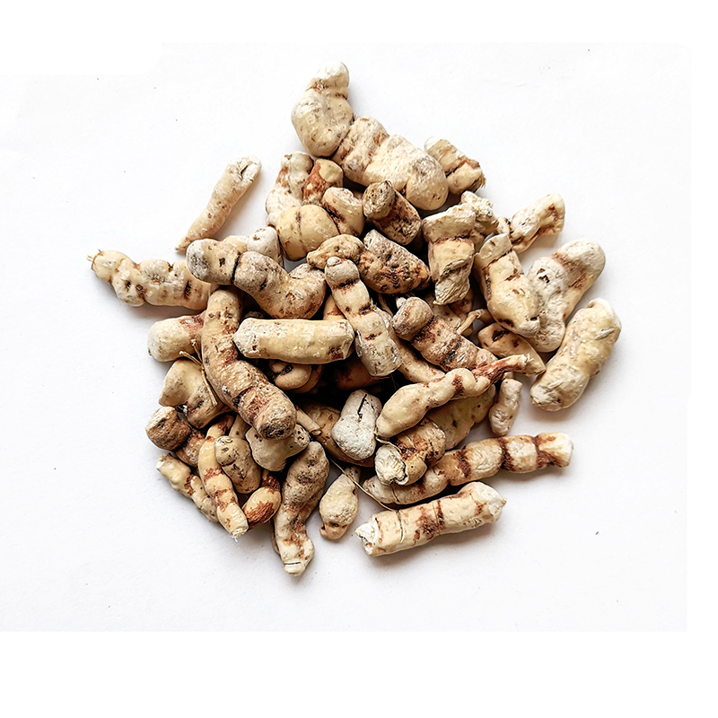 甘遂 Gan Sui / Gan Sui / euphorbia kansui