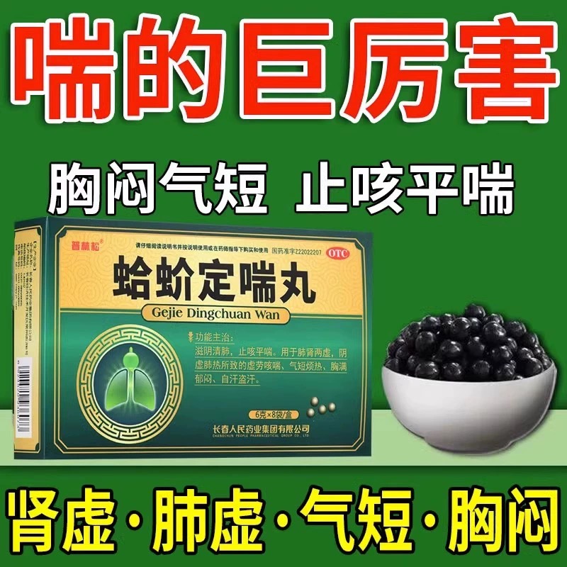 蛤蚧定喘丸 固肾定喘 Gejie DingChuan Wan (for Bronchitis Asthma) 6g x 8 Sachets - Image 2
