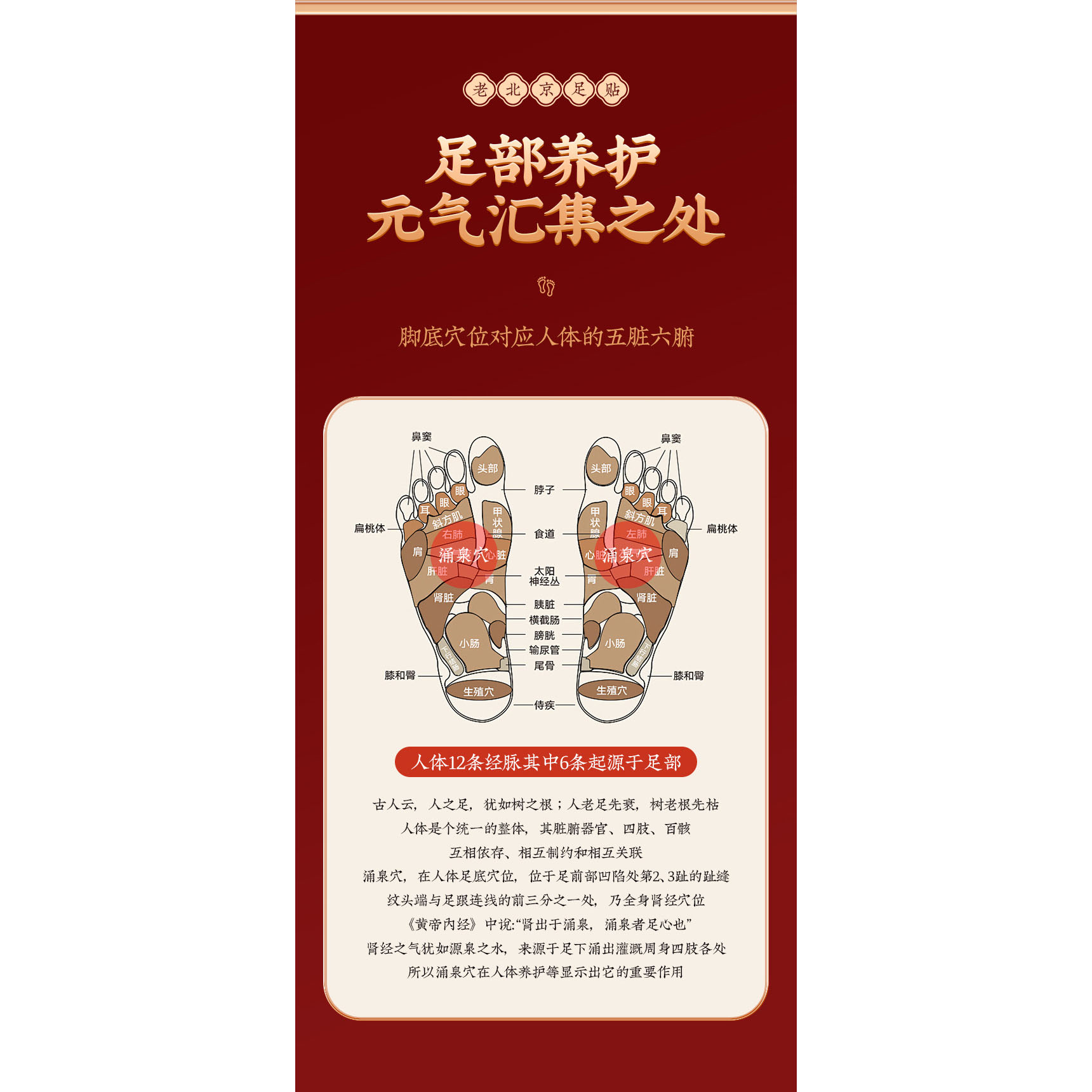 南京同仁堂 艾草足贴 Foot Pads, 50 Moxa Foot Pads and 50 Adhesive Sheets for Foot and Body Care - Image 7
