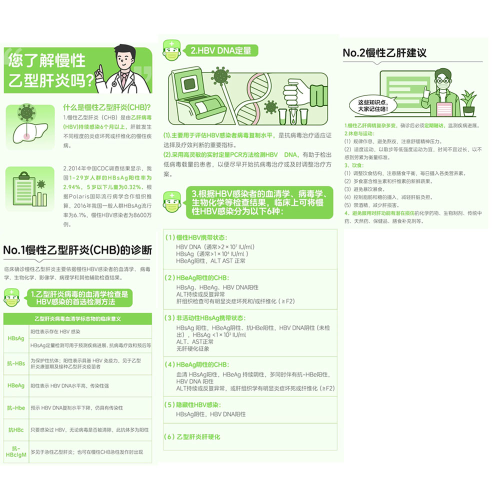 步长 肝康宁片 肝脏肿大 胆囊炎 急慢性肝炎 黄疸 Gankangningpian for soothing liver 30pc - Image 3