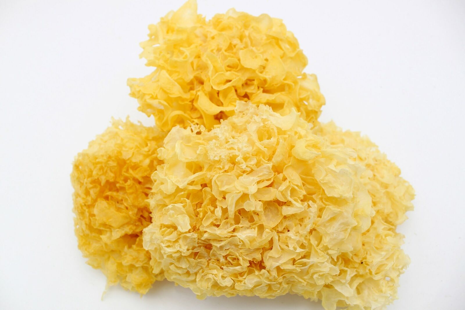 銀耳 Yin Er 雪耳  Xue Er / Dried Snow Fungus / Dried Tremella