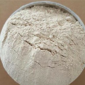 白芷粉 Bai Zhi Fen / Angelica Dahurica Powder