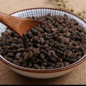 女贞子 Nv Zhen Zi / Ligustri Lucidi Fructus / Ligustrum / Privet Fruit