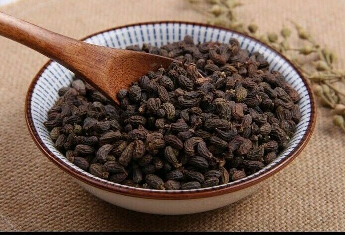 女贞子 Nv Zhen Zi / Ligustri Lucidi Fructus / Ligustrum / Privet Fruit