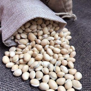 白扁豆 Bai Bian Dou / White Hyacinth Bean