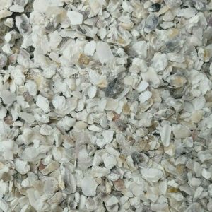 生牡蛎 Mu Li ke /  Oyster Shell / Ostrea Gigas Thunberg / 生蚝的贝壳