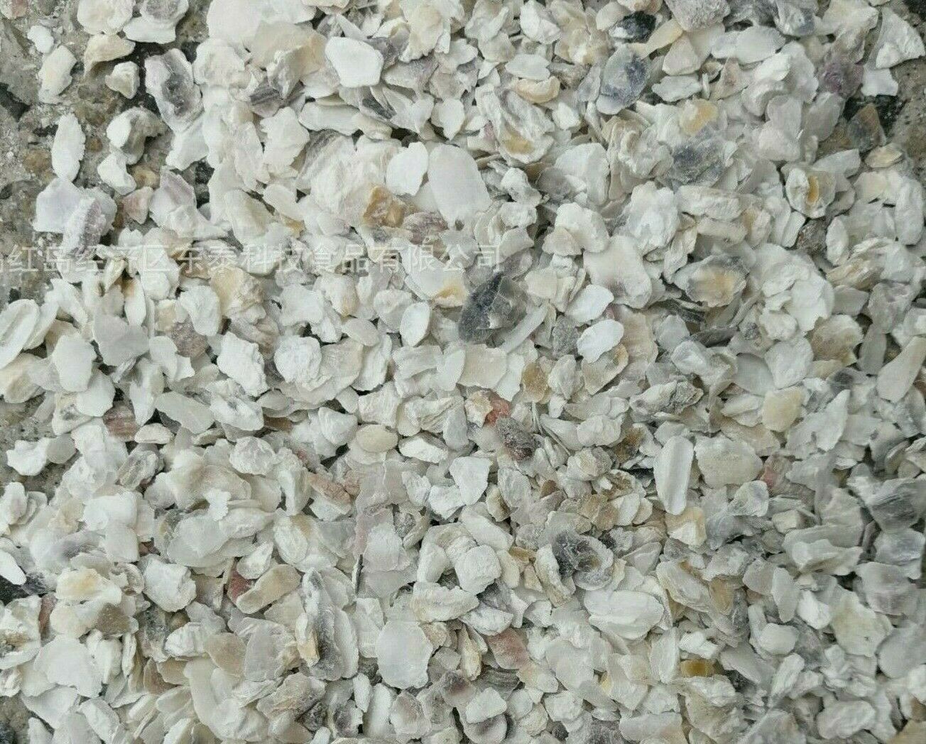 生牡蛎 Mu Li ke /  Oyster Shell / Ostrea Gigas Thunberg / 生蚝的贝壳