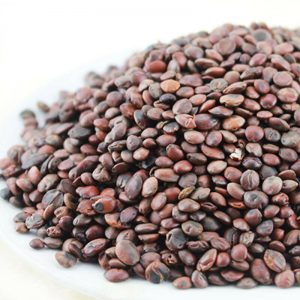 炒酸枣仁 Suan Zao Ren / Heated SEMEN ZIZIPHI SPINOSAE