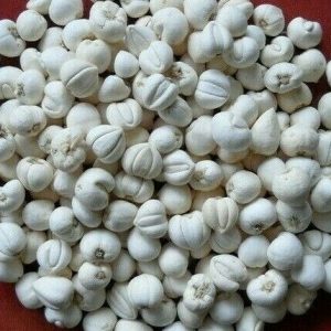 川贝母 Chuan Bei Mu / Bulbus Fritillariae Cirrhosae /Sichuan Fritillaria Bulb / Tendrilled Fritillaria Bulb