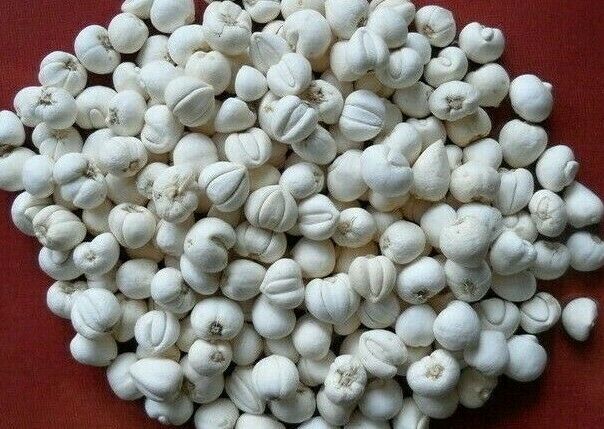 川贝母 Chuan Bei Mu / Bulbus Fritillariae Cirrhosae /Sichuan Fritillaria Bulb / Tendrilled Fritillaria Bulb