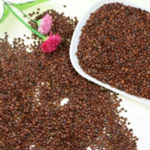 生酸枣仁 Raw Suan Zao Ren / SEMEN ZIZIPHI SPINOSAE. / Ziziphi Spinosae Semen